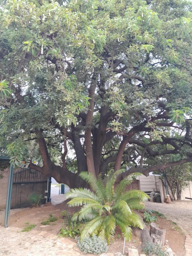 Edenvale Guest House Exterior foto